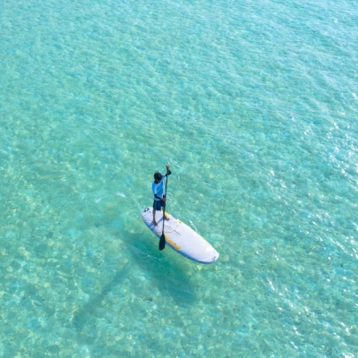 Paddle 3
